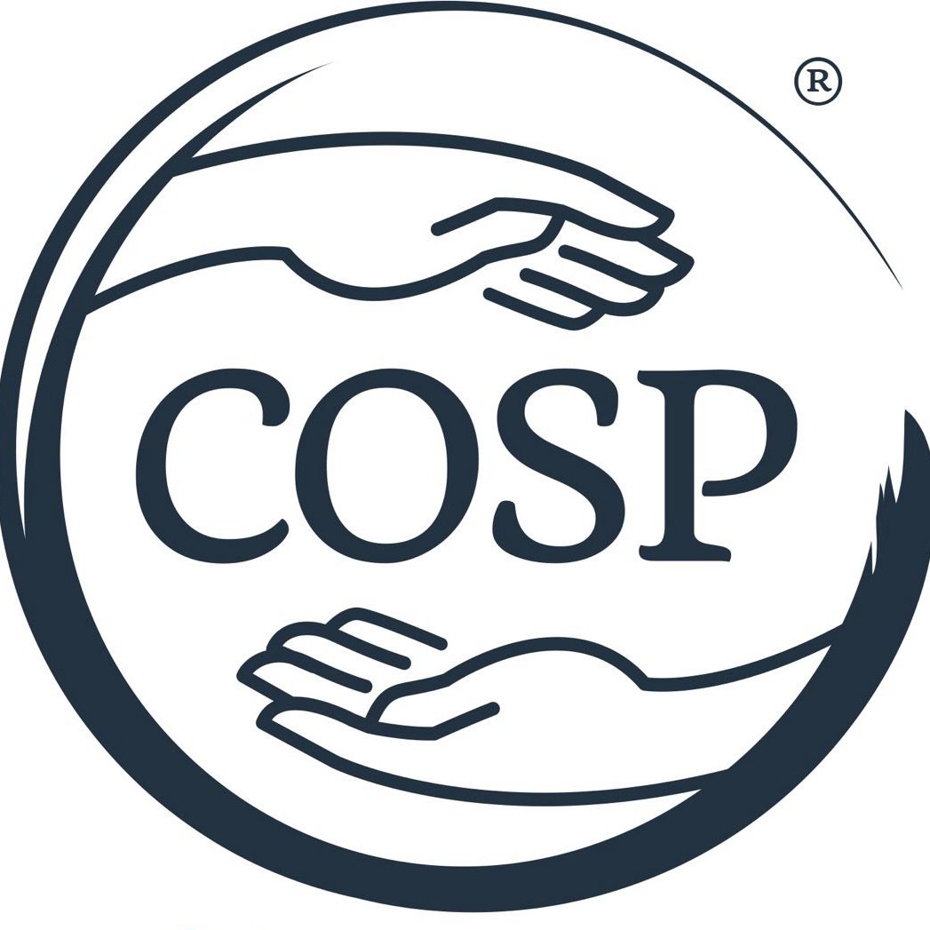 Atelier Circle of Security în clasă cu sprijinul câinilor Dog Assist