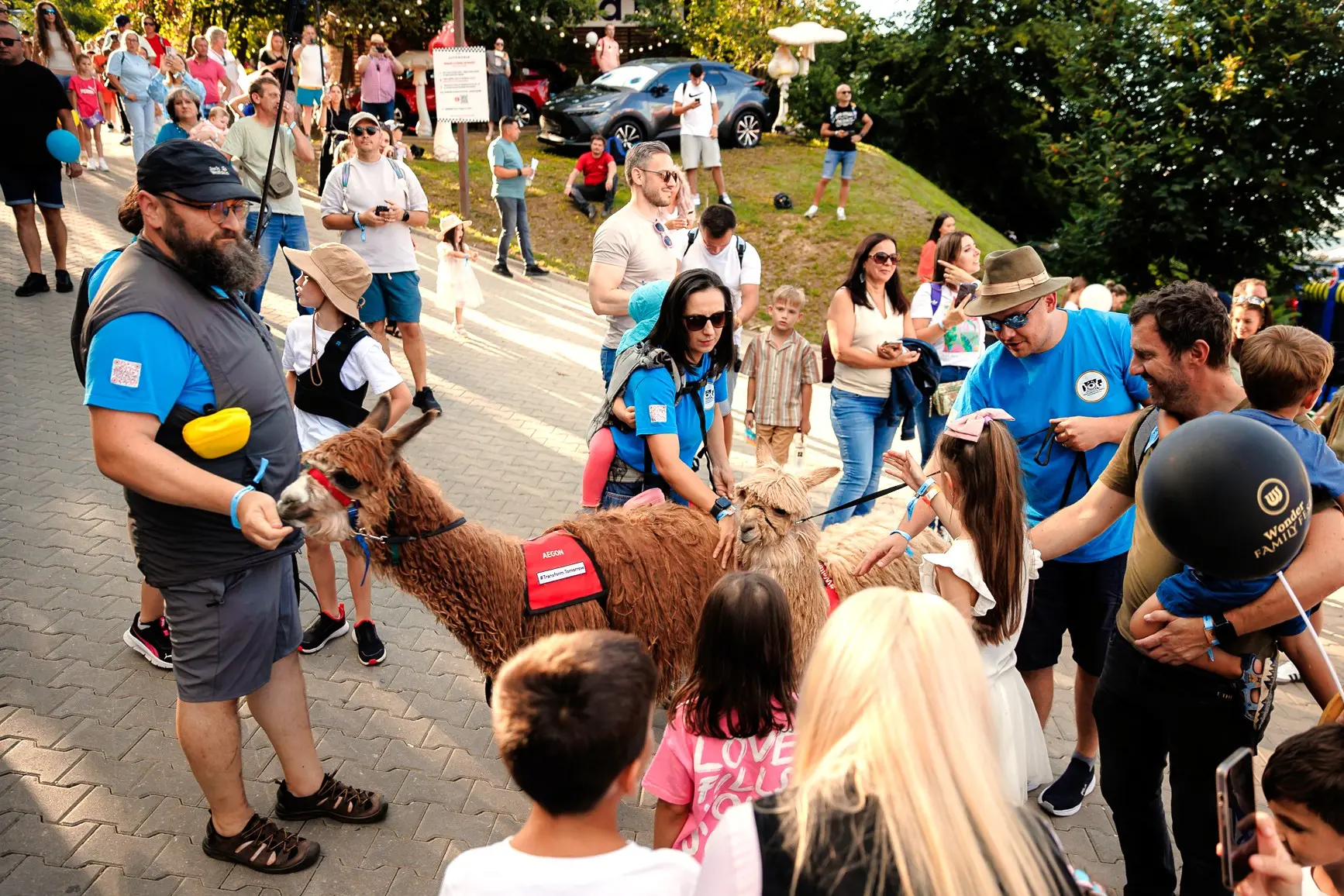 Voluntari Dog Assist