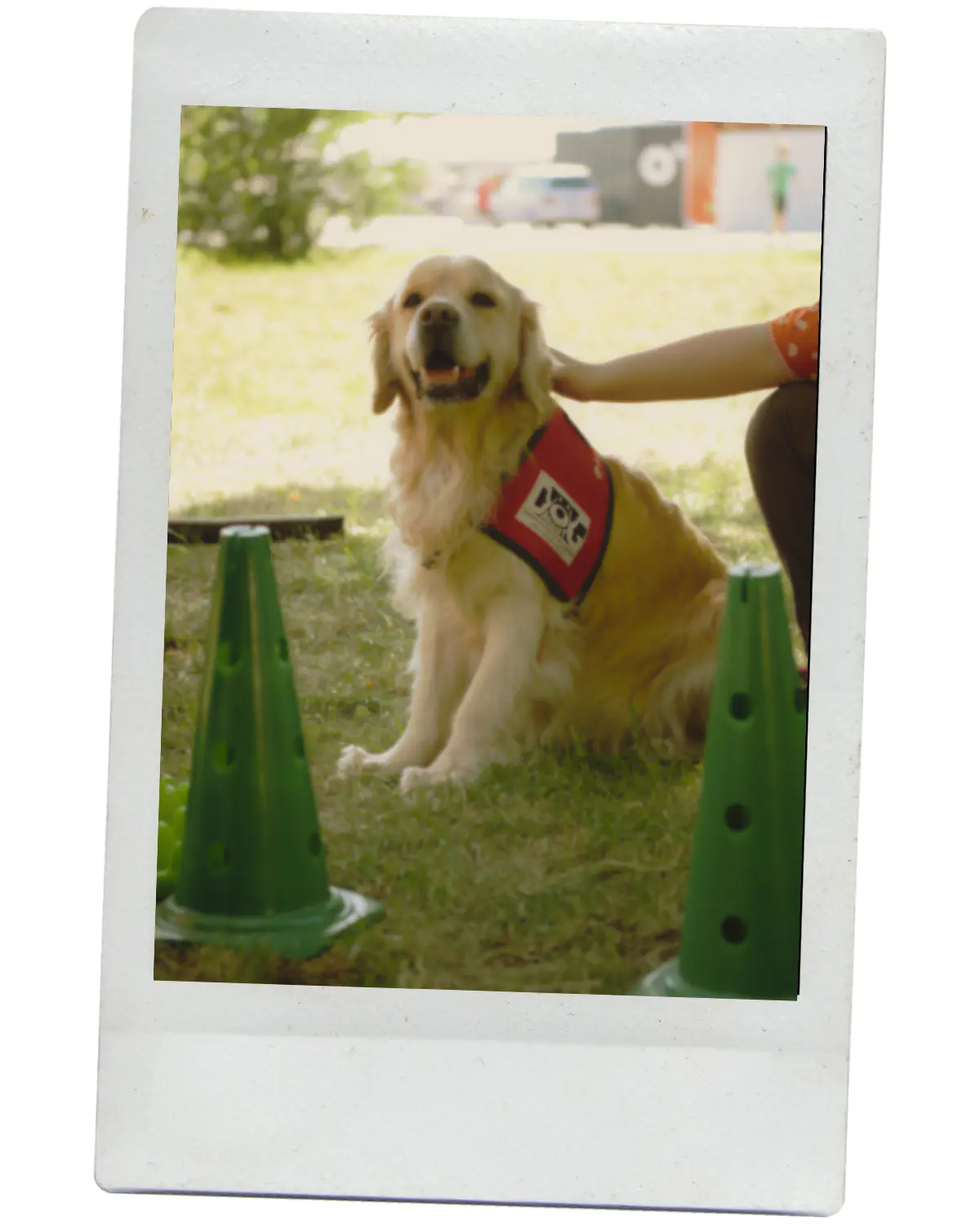 Moment din începuturile Dog Assist